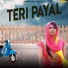 About Teri Payal Song
